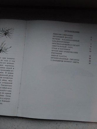 Внуки драконов 1980 год Корвина Венгрия для детей 8-10 летнего возраста. Пересыл. . фото 7