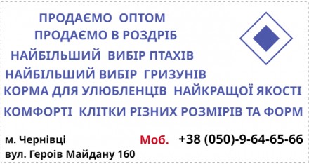 м. Чернівці. Продаж усіх видів папуг, є продаж оптом та в роздріб. Підберемо Вам. . фото 3