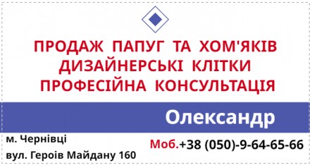 м. Чернівці. Продаж усіх видів папуг, є продаж оптом та в роздріб. Підберемо Вам. . фото 2