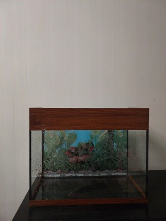 Продам акваріум з фільтром (Aquael «FAN-mikro Plus» до 30 л) б/у та . . фото 3