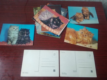 Продам открытки кошачьих сделанные в Чехословакии в начале 80-х годов. Всего 25 . . фото 3