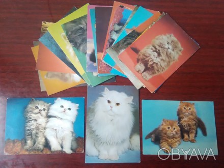 Продам открытки кошачьих сделанные в Чехословакии в начале 80-х годов. Всего 25 . . фото 1
