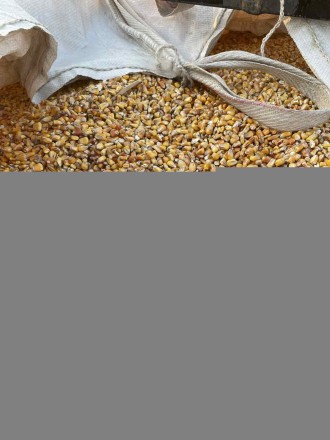Солома ячмінка 70 грн
Солома пшенична 70 грн
Сіно Різнотрав'я разом з Суд. . фото 7