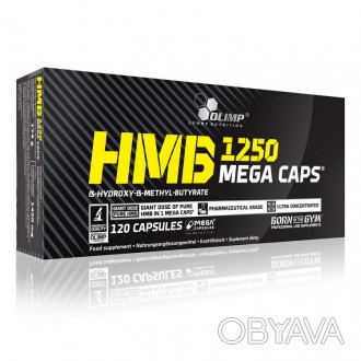  HMB mega caps 1250 (120 caps) – добавка для интенсивных тренировок HMB mega cap. . фото 1