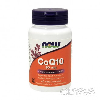 CoQ10 60 mg (60 vcaps)CoQ10 60 mg (60 vcaps) - это высококачественный продукт из. . фото 1