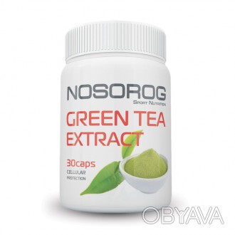 Green Tea Extract (30 капсул)Натуральный Green Tea Extract (экстракт зеленого ча. . фото 1