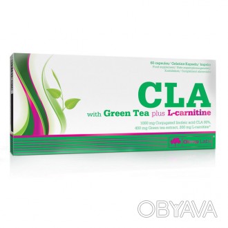 CLA with Green Tea plus L-Carnitine (60 caps) – клетчаточный жиропреобразователь. . фото 1