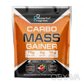 Carbo Mass Gainer (4 kg, forest fruits) - масс гейнер для набора массыОписание т. . фото 1