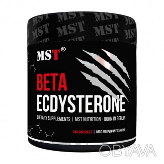  Beta-Ecdysterone (240 caps) – натуральный продукт для поддержки иммунитета Beta. . фото 1
