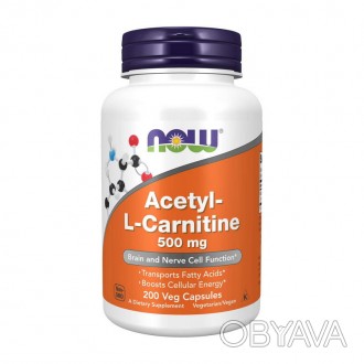 Acetyl-L-Carnitine 500 – Энергия и устойчивость для организмаAcetyl-L-Carnitine . . фото 1