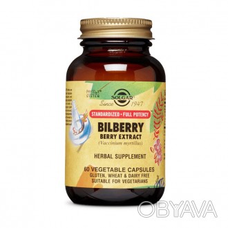 Bilberry Berry Extract (60 veg caps)Произведено в СШАВысококачественный экстракт. . фото 1