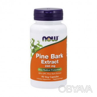  Pine Bark Extract 240 mg (90 veg caps) 
Pine Bark Extract 240mg (90 veg caps) -. . фото 1