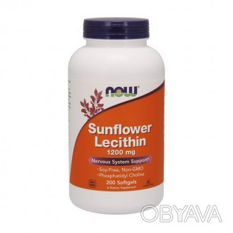 Now Sunflower Lecithin содержит фосфатидилхолин, наиболее распространенный фосфо. . фото 1