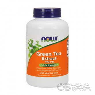 Green Tea Extract 400 mg (250 veg caps) - универсальная добавка для здоровья и к. . фото 1