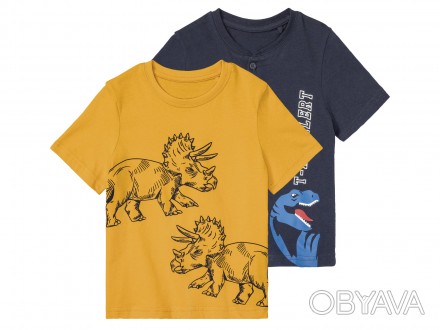 Футболка набор 2 шт. для мальчика Lupilu 403695-н 098-104 см (2-4 years) Комбини