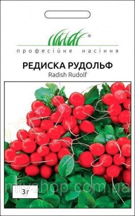 Редис Рудольф 3гр Професійне насіння. Лубны. фото 1 Редис Рудольф 3гр Професійне насіння. Лубны. фото 1