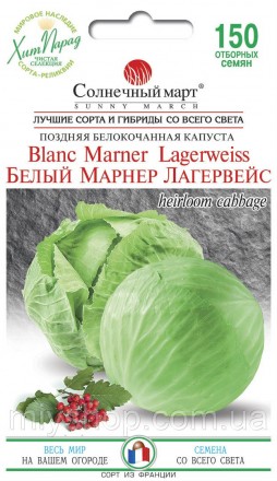 Капуста Белый Марнер Лагервейс 150 шт Солнечный март. Лубны. фото 1 Капуста Белый Марнер Лагервейс 150 шт Солнечный март. Лубны. фото 1
