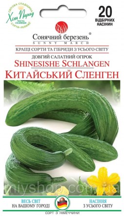 Огірок середній бджолозапильний Китайський Сленген 20 шт Солнечный март. Лубны. фото 1 Огірок середній бджолозапильний Китайський Сленген 20 шт Солнечный март. Лубны. фото 1