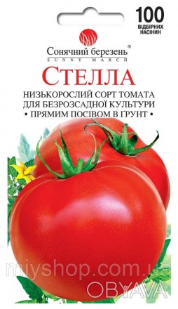 Ранньостиглий, детермінантний томат. Рослина середньооблистяна, висотою 45-60 см. . фото 1