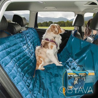 Путешествие с собакой в автомобиле – это всегда последующая чистка салона: 4 лап. . фото 1