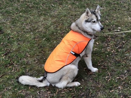 Накидка попона для собак малая оранжевая. Размер в см: Длина спины - 34 см. Объе. . фото 3