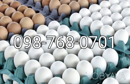 Реалізуємо яйце куряче С0, С1, С2. Біле та кремове. Є великі та середні. Завжди . . фото 1