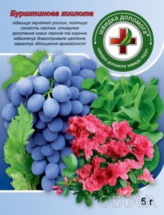 Категорія товарів: регулятори росту Діюча речовина: бурштинова кислота Виробник:. . фото 1