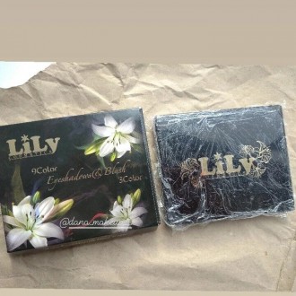Набір від косметичного бренду Lily— це поєднання ідеальних відтінків тіней. . фото 5