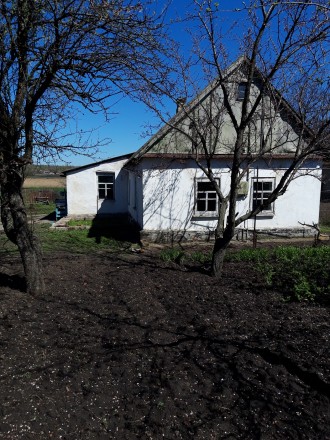 продается дом в селе недорого. Запоріжжя. фото 1 продается дом в селе недорого. Запоріжжя. фото 1