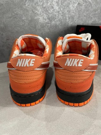 Кроссовки женские оранжевые Nike x Concepts SB Dunk Low Orange Lobster
Представл. . фото 5