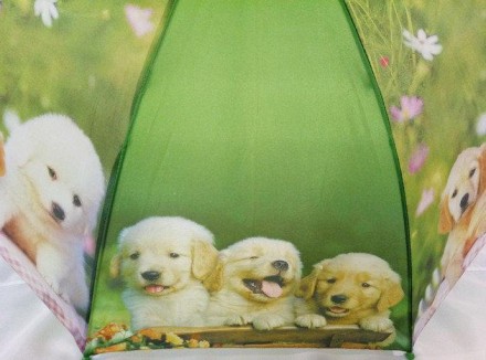 Дитячий парасольку з собачками.
Красиві парасольки з собачками, оснащені 8 спиця. . фото 4
