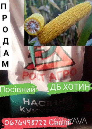 Посівний кукурудзи ДБ ХОТИН доставка новой почтой самовивозом. . фото 1