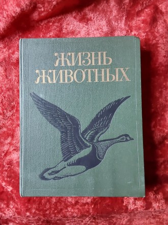 Жизнь животных 6 том 1986 год Москва издательство Просвещение. Пересылка предмет. . фото 11