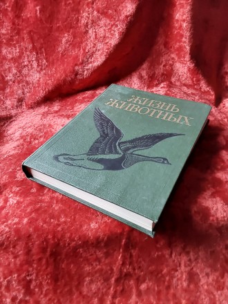 Жизнь животных 6 том 1986 год Москва издательство Просвещение. Пересылка предмет. . фото 2