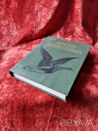 Жизнь животных 6 том 1986 год Москва издательство Просвещение. Пересылка предмет. . фото 1