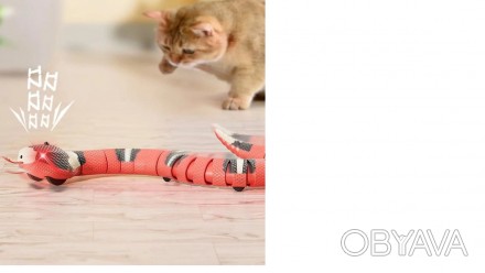 Прекрасный способ развлечь Вашу кошку дома — купить ей игрушку змею. Это в. . фото 1