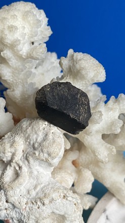  Пропонуємо Вам натуральний необроблений камінь моріон.
Розміри: 19*15*8 мм.
. . фото 2