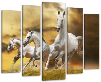 Модульна картина Коні Art-77_5. Ужгород. фото 1 Модульна картина Коні Art-77_5. Ужгород. фото 1