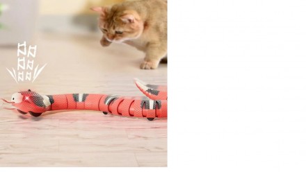 Прекрасный способ развлечь Вашу кошку дома — купить ей игрушку змею. Это в. . фото 2