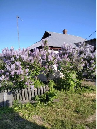 Продаємо будинок в селі Вергуни (10 км від м. Черкаси). Будинок має площу 69 м. . . фото 2