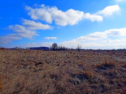 Земельна ділянка 12 соток у передмісті Чернігова

Продам приватизовану земельн. Масаны. фото 7