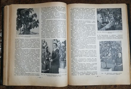 Комнатное  садоводство Рік  видання  -  1956. Стан  -  як  на  фото.. . фото 6