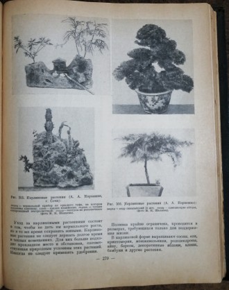 Комнатное  садоводство Рік  видання  -  1956. Стан  -  як  на  фото.. . фото 5