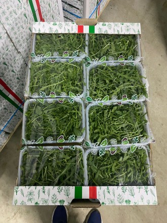 "Ми є прямим імпортером салатів і трав з Італії, Іспанії, Нідерландів та По. . фото 2
