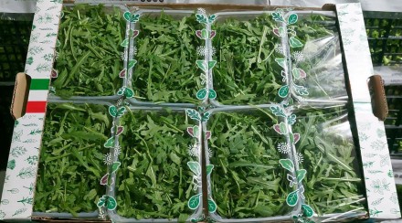 "Ми є прямим імпортером салатів і трав з Італії, Іспанії, Нідерландів та По. . фото 4