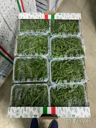 "Ми є прямим імпортером салатів і трав з Італії, Іспанії, Нідерландів та По. . фото 1