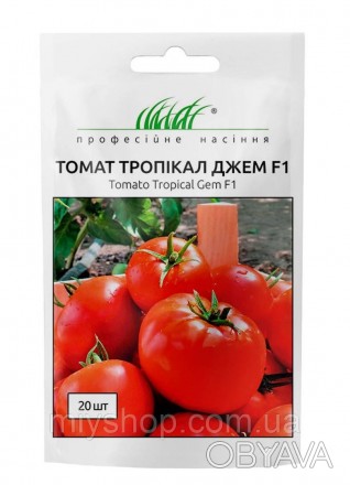 Ранній (70-75 днів) гібрид томата типу Біф зі значним потенціалом урожайності. П. . фото 1