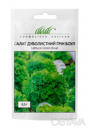 Грін Боул — ранньостиглий високоврожайний сорт салату типу дуболистний. Рослини . . фото 1