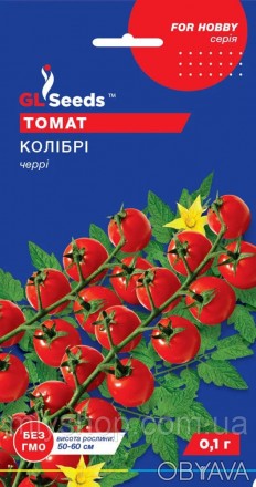 Экзотический десертный сорт. Ранний (95-100 дней), засухоустойчивый, с растянуты. . фото 1