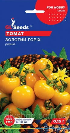 Оригінальний ранньостиглий (85-100 днів) черрі-томат для відкритого грунту і плі. . фото 1